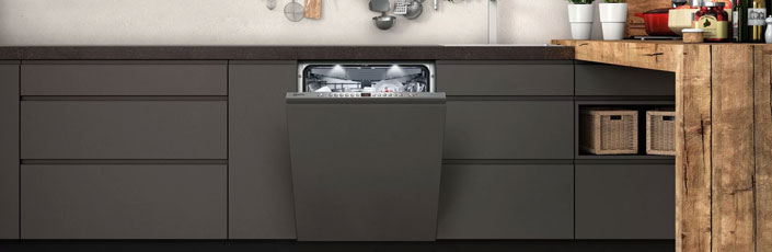 Ремонт посудомоечных машин в Раменском